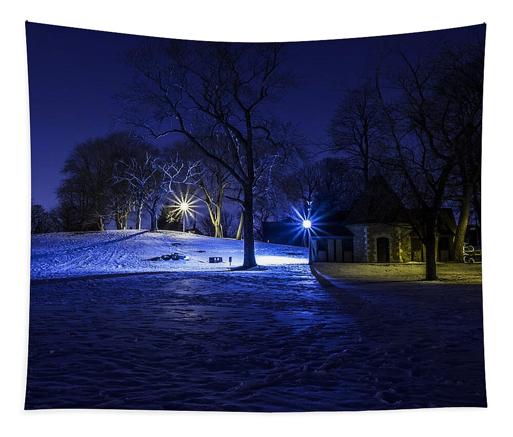 Www.cjschmit.com Tapestry featuring the photograph Frost Blue by CJ Schmit