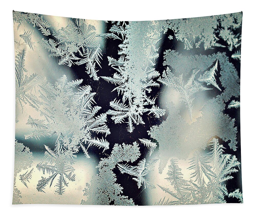 Snow Tapestry featuring the photograph Frostbitten Window by Carrie Ann Grippo-Pike