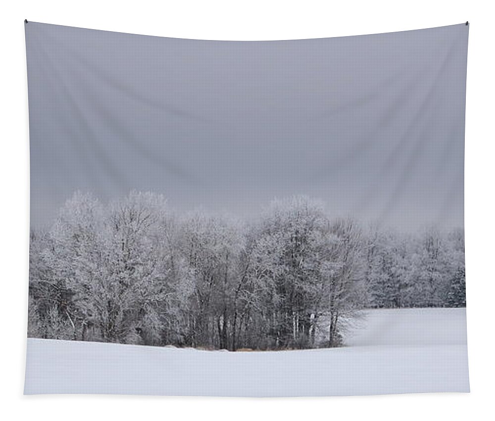 Winter Tapestry featuring the photograph Frosty Farm Fields by Dale Kauzlaric