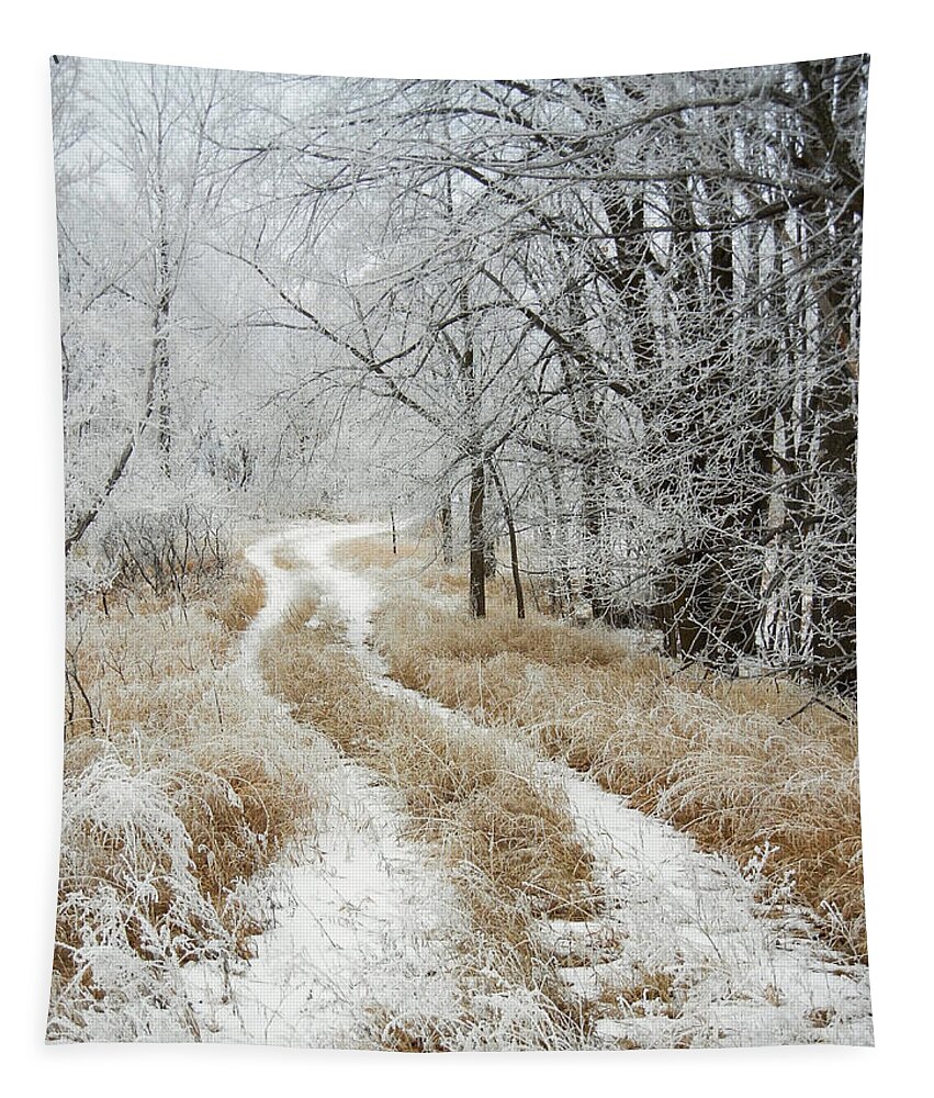 Landscape Tapestry featuring the photograph Frosty Trail by Penny Meyers