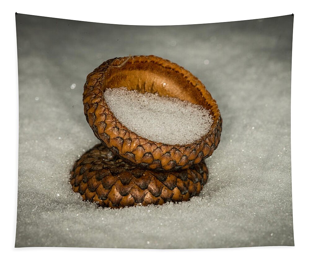 Nature Photograph Tapestry featuring the photograph Frozen Acorn Cupule by Paul Freidlund