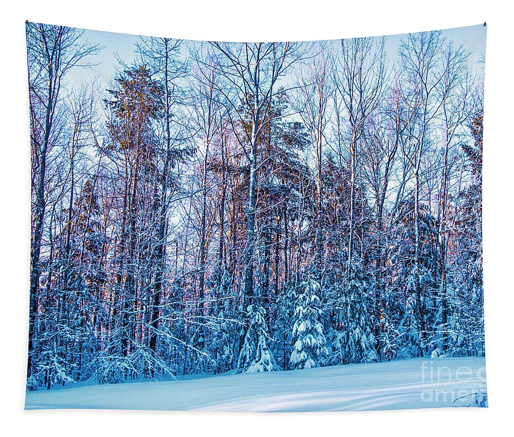 Maine Photos Tapestry featuring the photograph Frozen Winter by Alana Ranney
