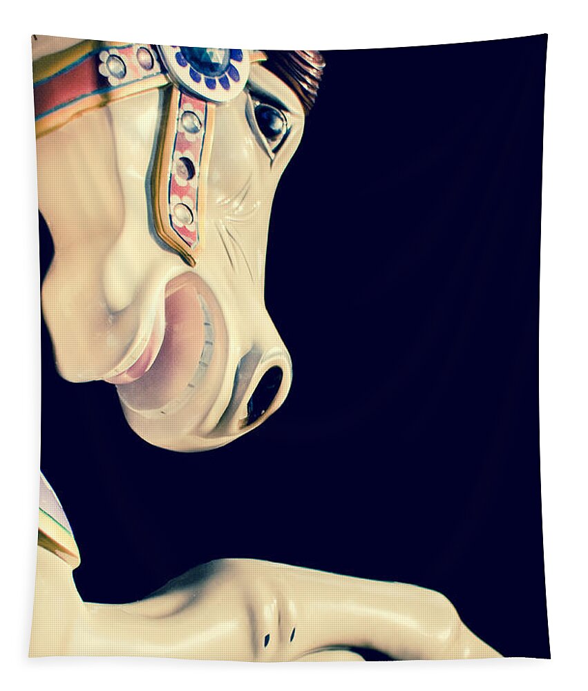 Carousel Tapestry featuring the photograph Frozen by Caitlyn Grasso