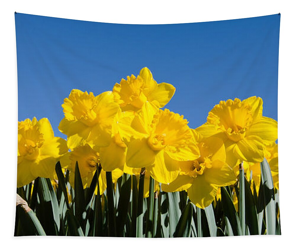Yellow Day Lilies Tapestry featuring the photograph Full of Light by Crystal Wightman