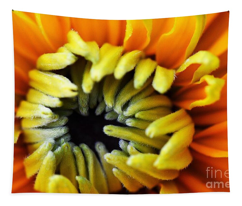 Flower Tapestry featuring the photograph Fuzzy Wuzzy by Judy Wolinsky