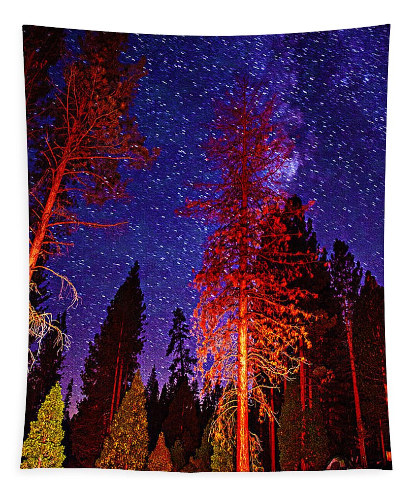 Galaxy Stars By The Campfire At Night Fine Art Nature Photography Photograph Print Tapestry featuring the photograph Galaxy Stars by The Campfire by Jerry Cowart