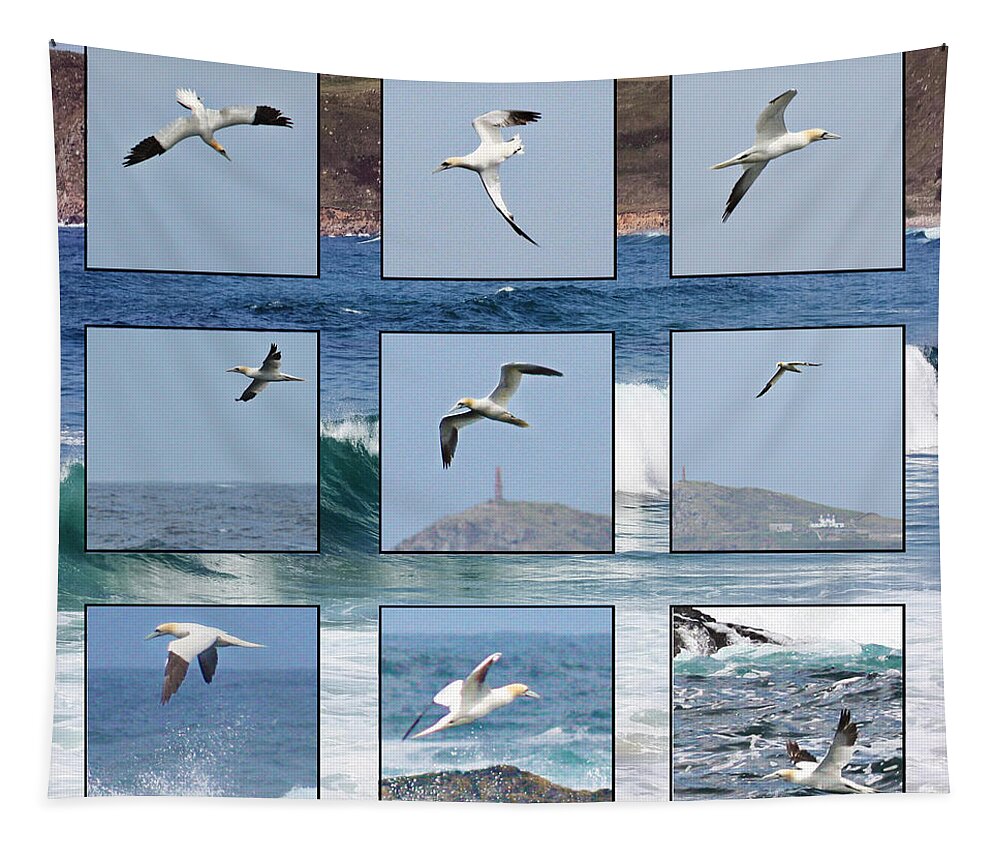 Gannet Tapestry featuring the photograph Gannets Galore by Terri Waters