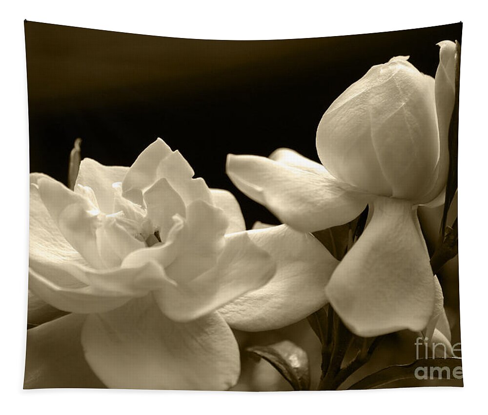Gardenia Tapestry featuring the photograph Gardenia Blooms in Sepia by Jill Lang