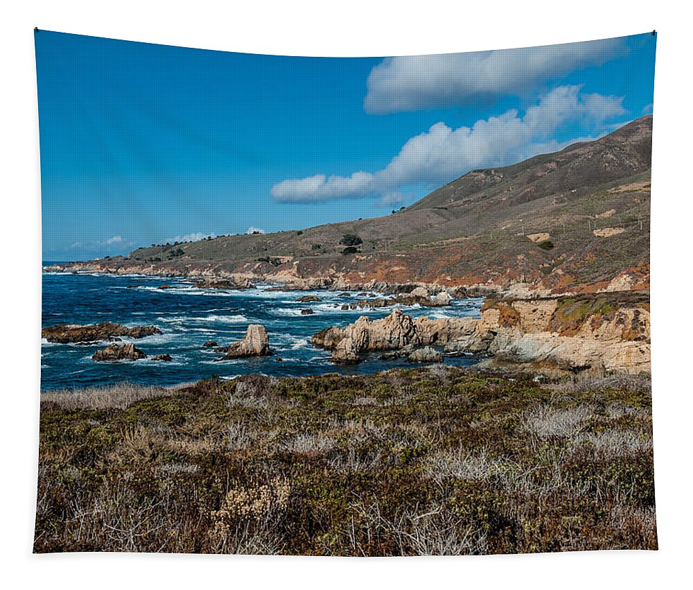 Big Sur Tapestry featuring the photograph Garrapata State Park by George Buxbaum