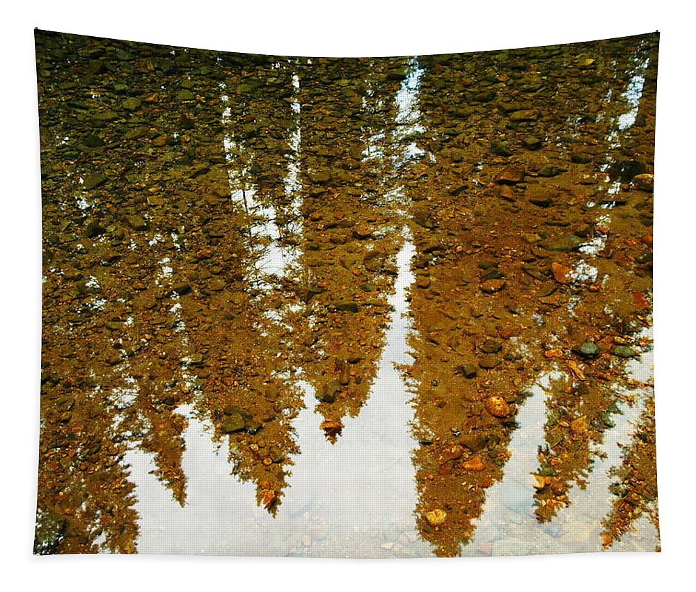 Trees Tapestry featuring the photograph Gathered For Reflection by Jeff Swan