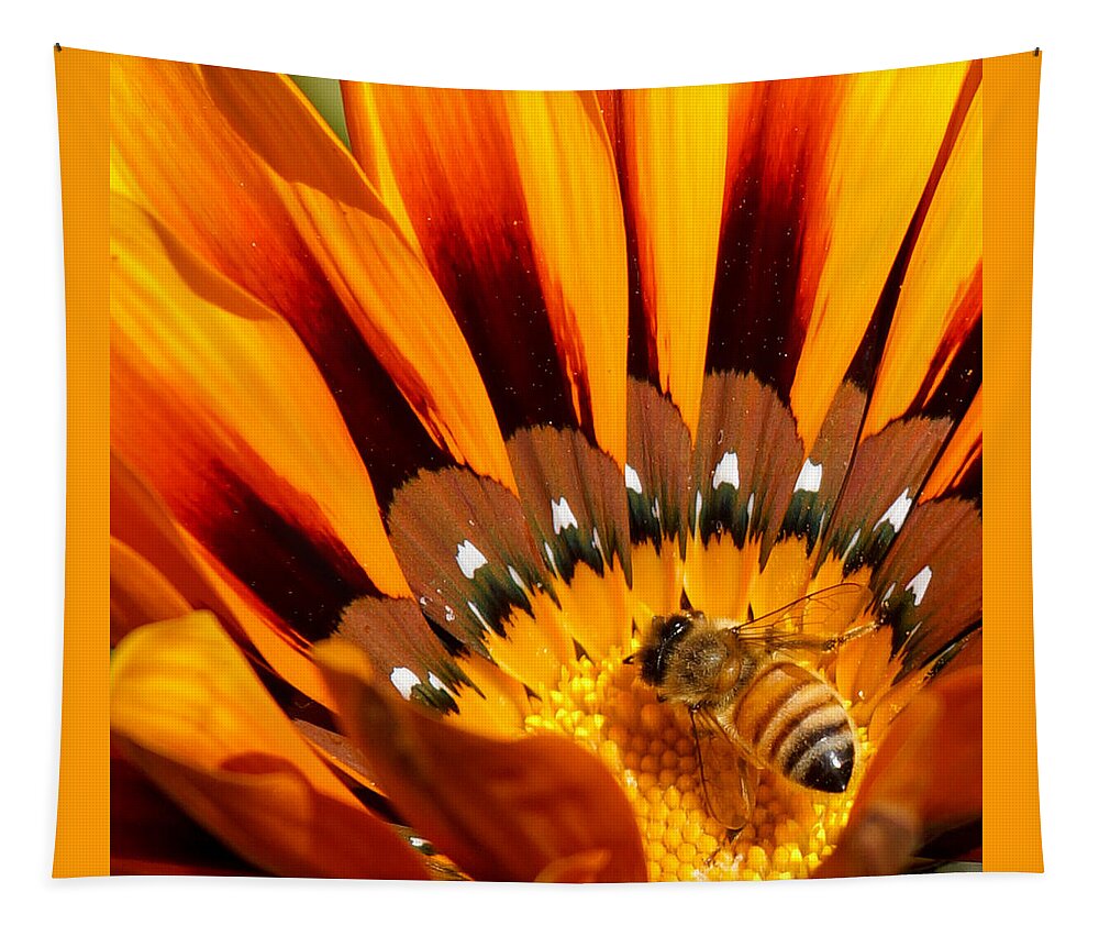 Gazanias Tapestry featuring the photograph Gazania Pollination by Ernest Echols
