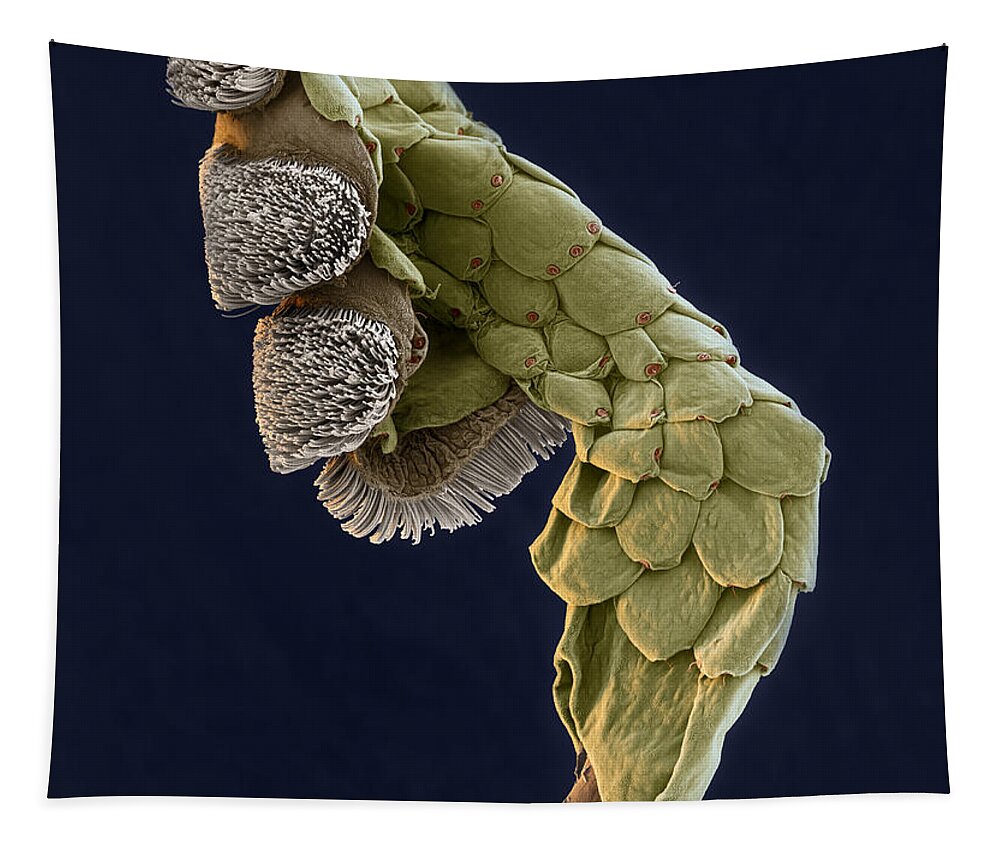 Animal Tapestry featuring the photograph Gecko Foot Sem by Eye of Science