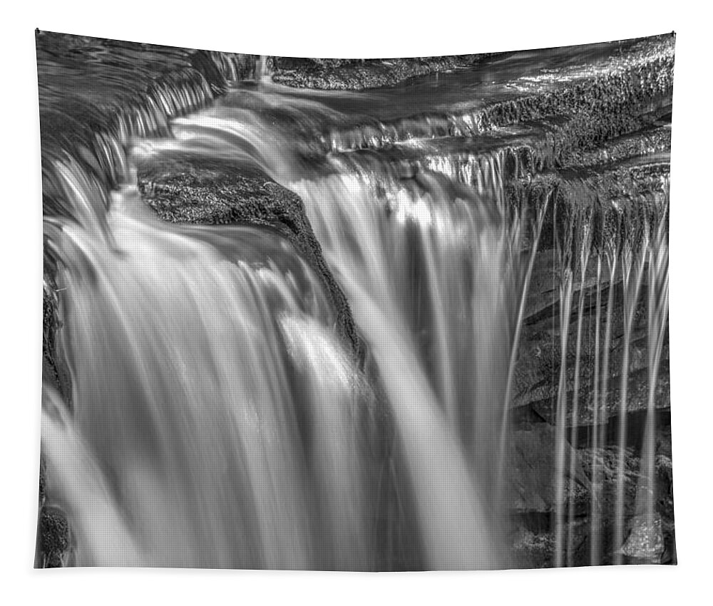 Ricketts Glen Tapestry featuring the photograph Gentle Falls in BW by Paul W Faust - Impressions of Light