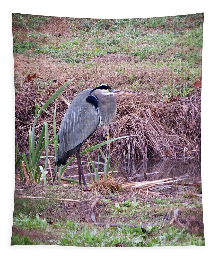 Great Blue Heron Tapestry featuring the photograph Gentle Giant of the Wetland - Great Blue Heron by Ella Kaye Dickey