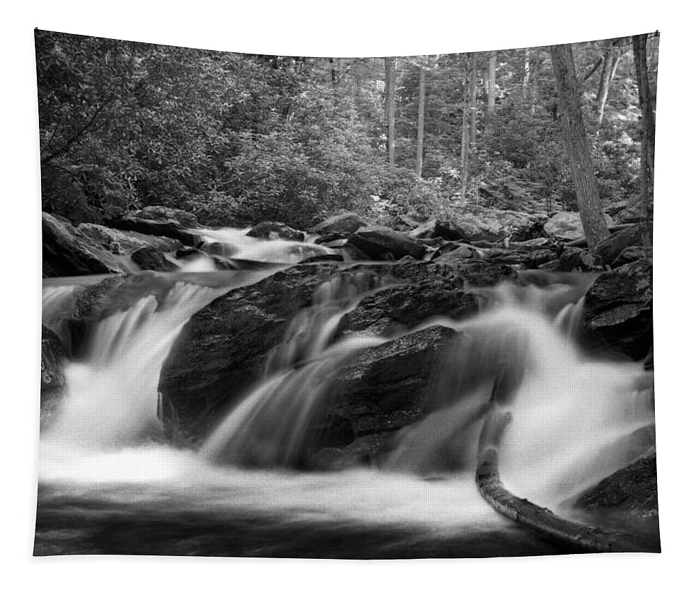 Waterfall Tapestry featuring the photograph Georgia Mountain Water in Black and White by Greg and Chrystal Mimbs
