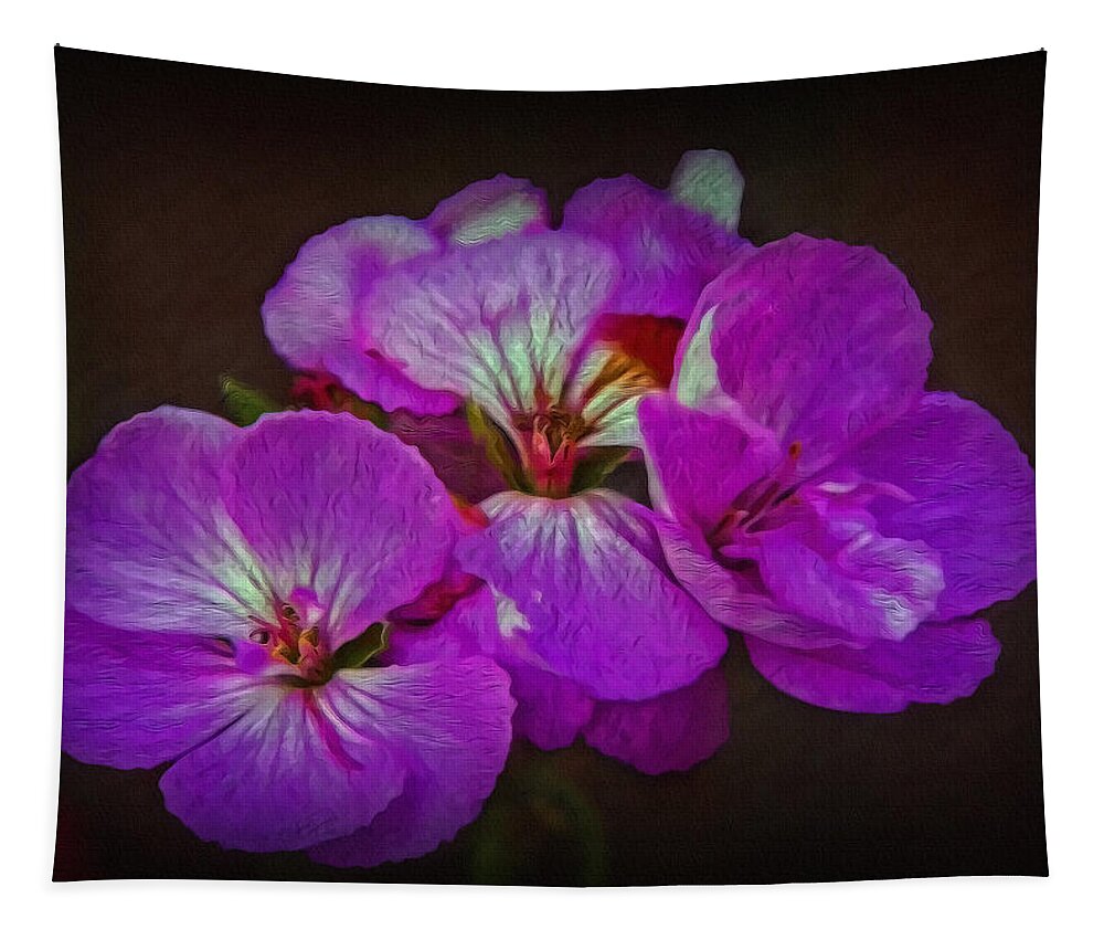 Flower Tapestry featuring the photograph Geranium Blossom by Hanny Heim