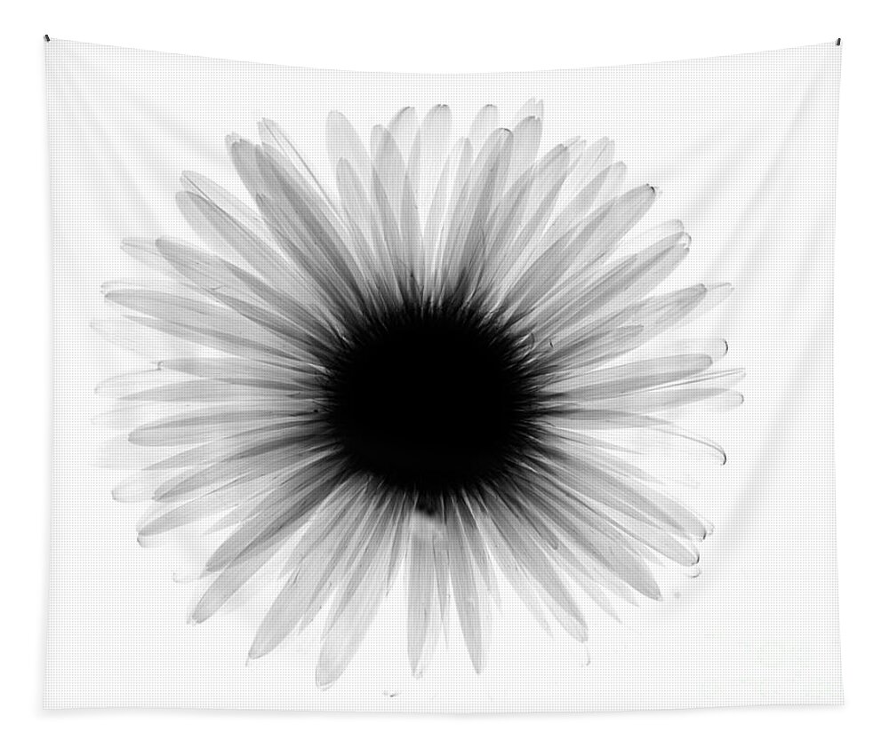 Nature Tapestry featuring the photograph Gerber Daisy X-ray by Bert Myers