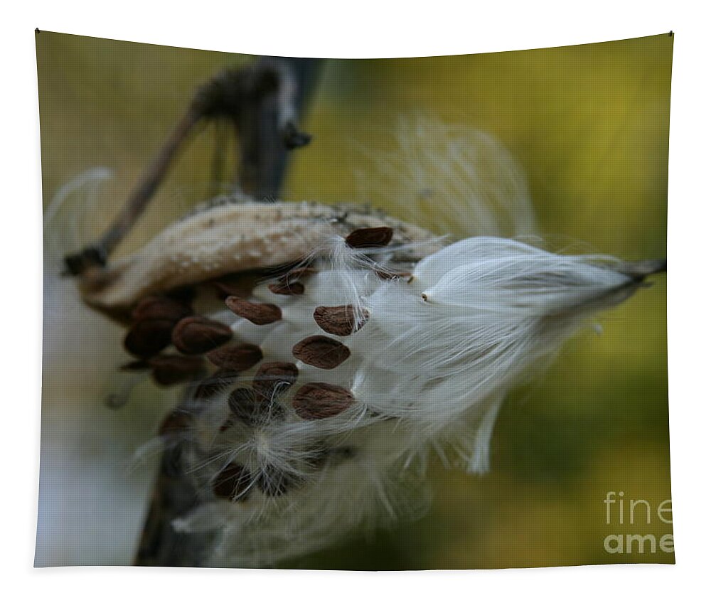 Milkweed Pod Tapestry featuring the photograph Getting Ready for Flight No.3 by Neal Eslinger