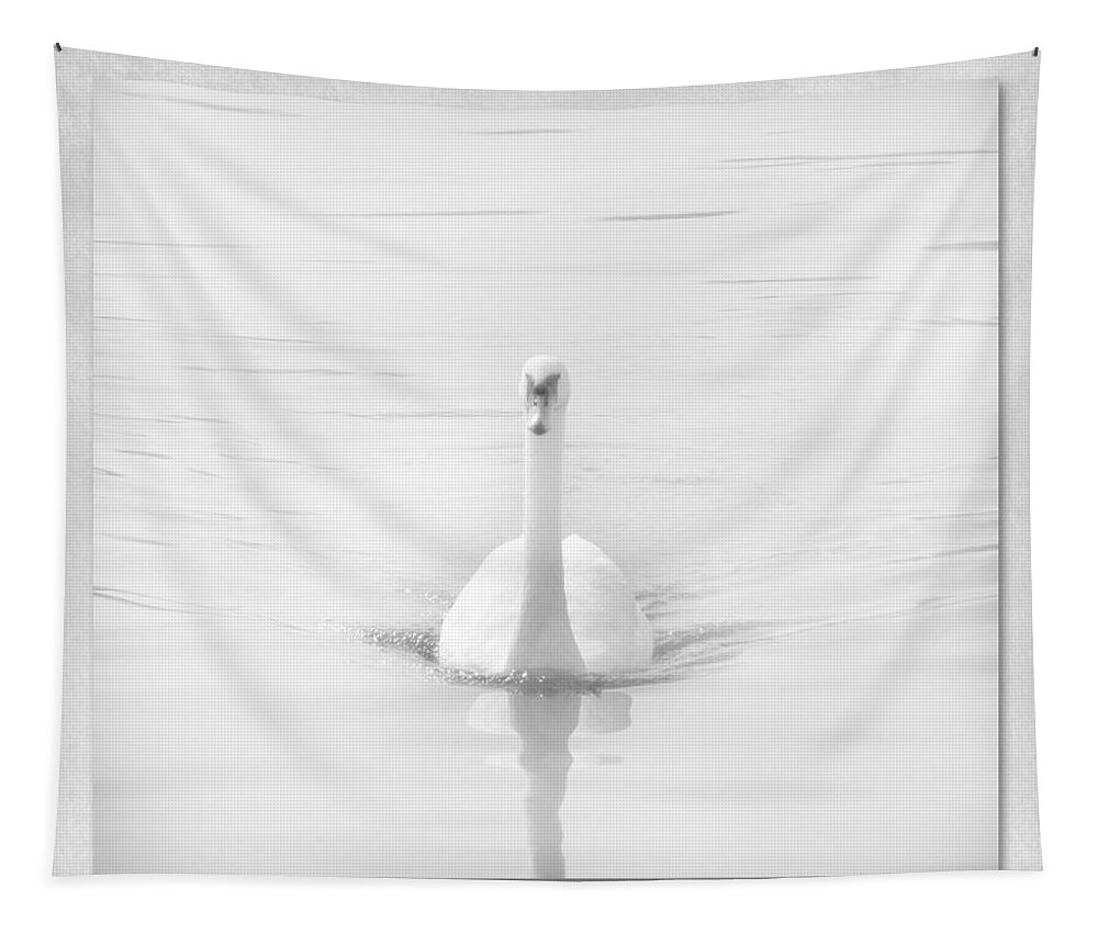 Swan Tapestry featuring the photograph Ghostly White by Lynn Bolt