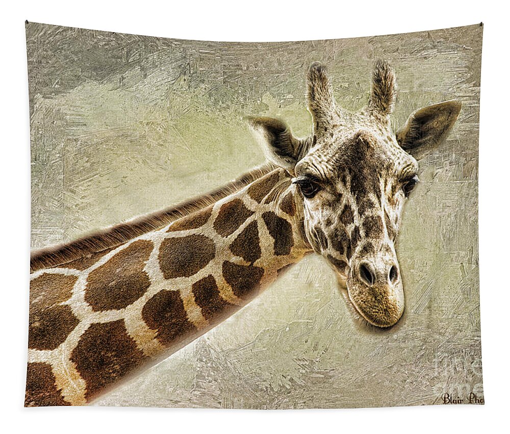 Giraffe Tapestry featuring the photograph Giraffe by Linda Blair