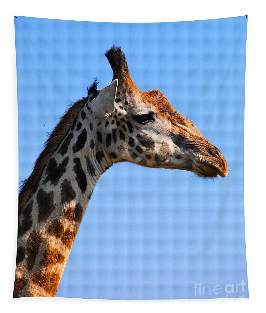 Giraffe Tapestry featuring the photograph Giraffe portrait close-up. Safari in Serengeti. Tanzania by Michal Bednarek