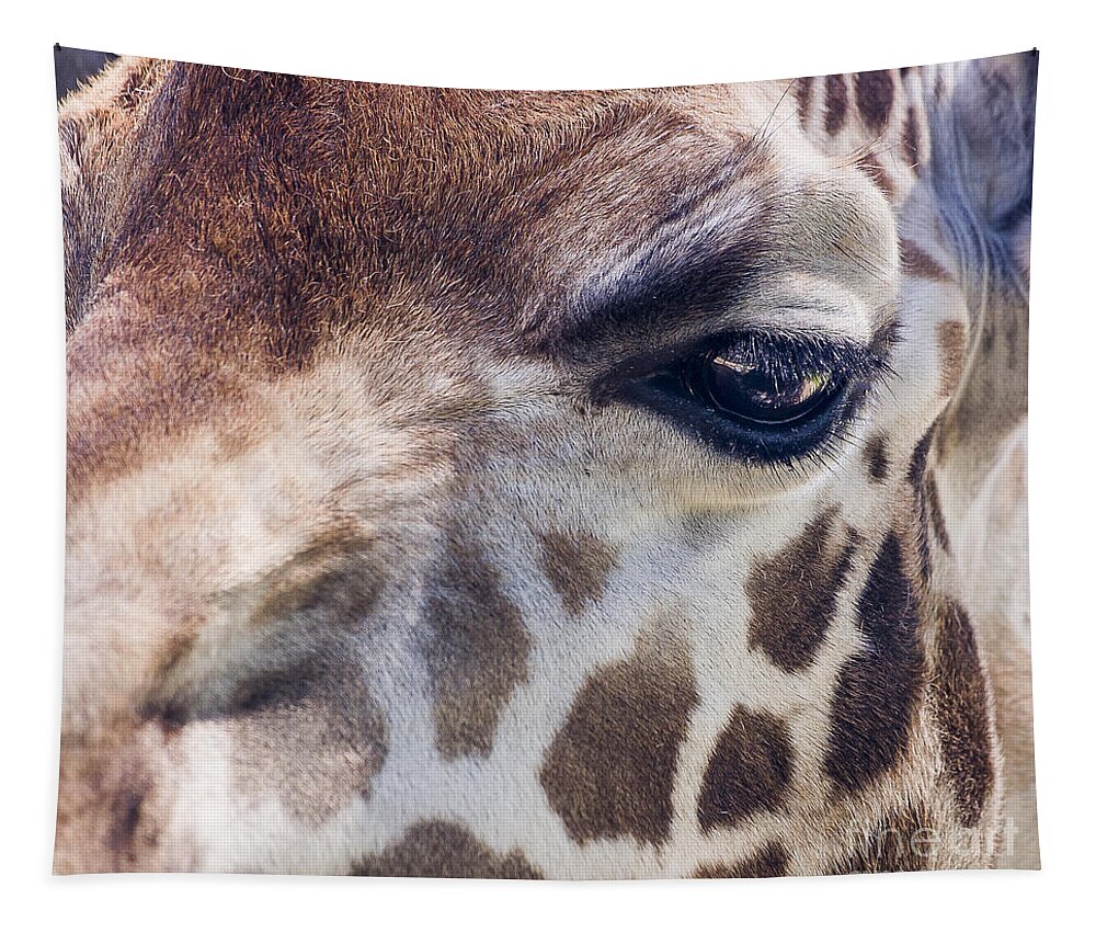 Nimals Tapestry featuring the photograph Giraffe by Steven Ralser