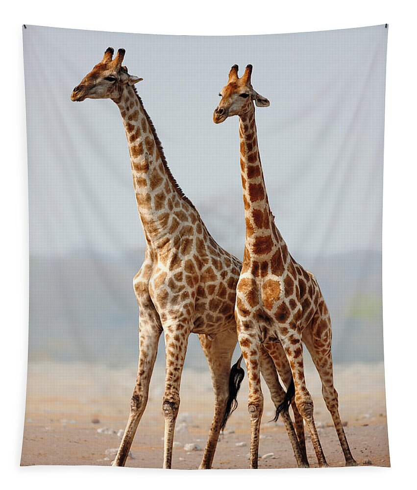 #faatoppicks Tapestry featuring the photograph Giraffes standing together by Johan Swanepoel