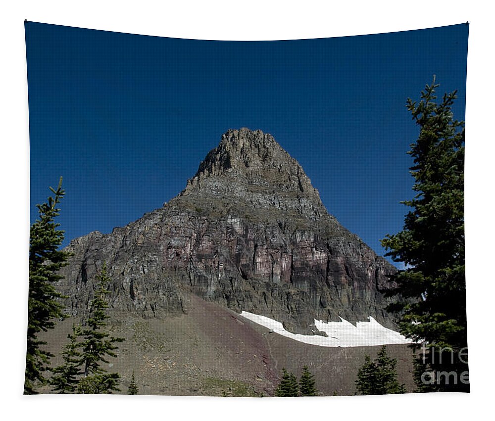 Glacier National Park Tapestry featuring the photograph Glacier National Park by Mark Newman
