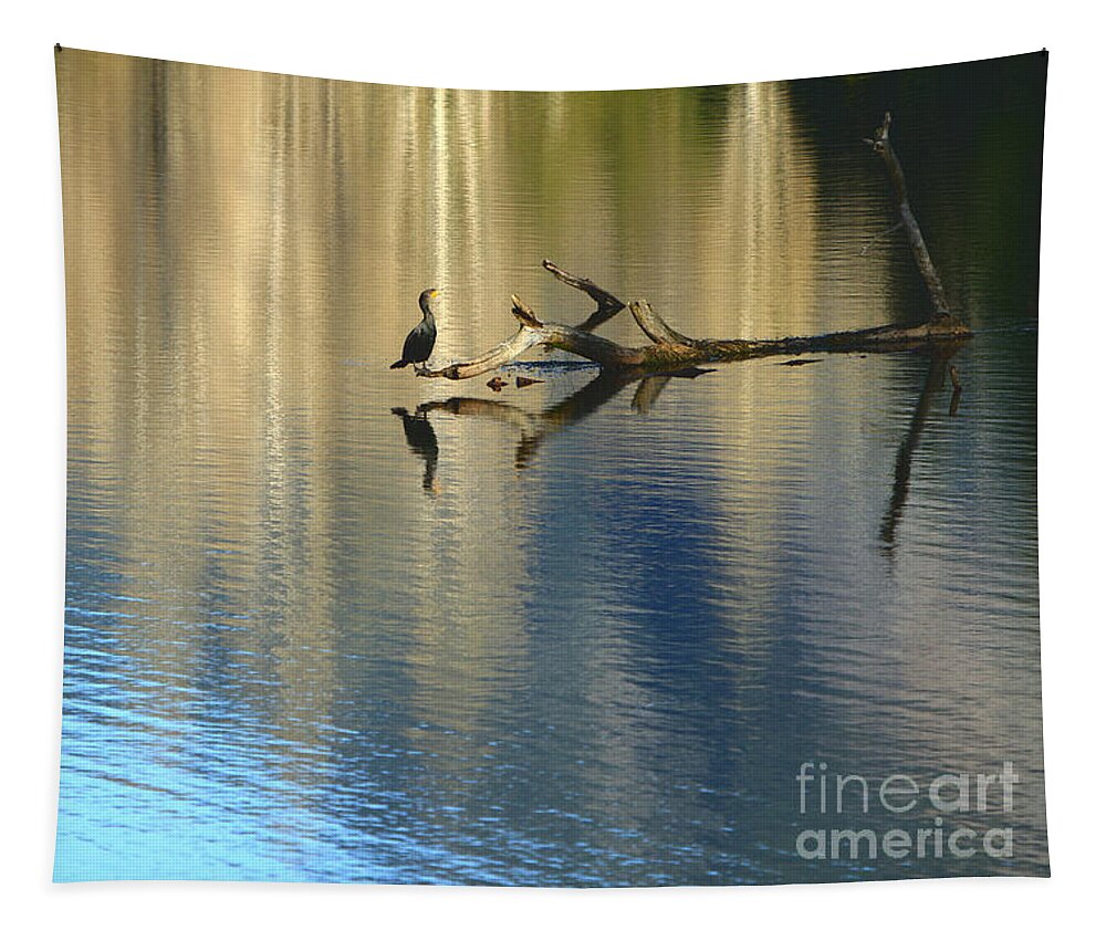 Cormorant Tapestry featuring the photograph Balancing Act by Michelle Twohig