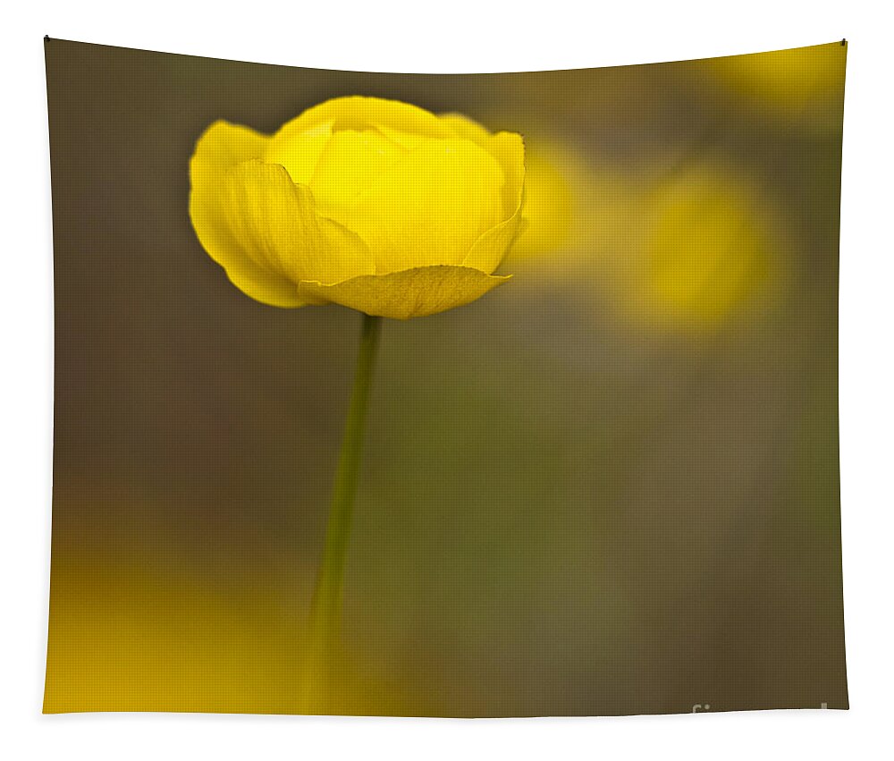 Ranunculaceae Tapestry featuring the photograph Globe Flower by Heiko Koehrer-Wagner