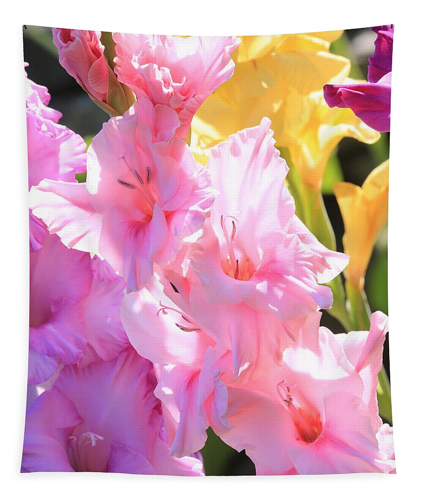 Gladiolus Tapestry featuring the photograph Glorious Summer Gladiolus by Carol Groenen
