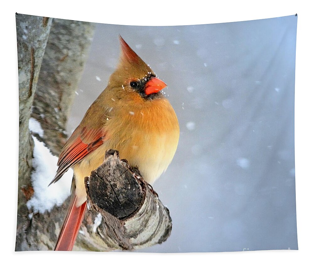 Nature Tapestry featuring the photograph Glowing In The Snow by Nava Thompson