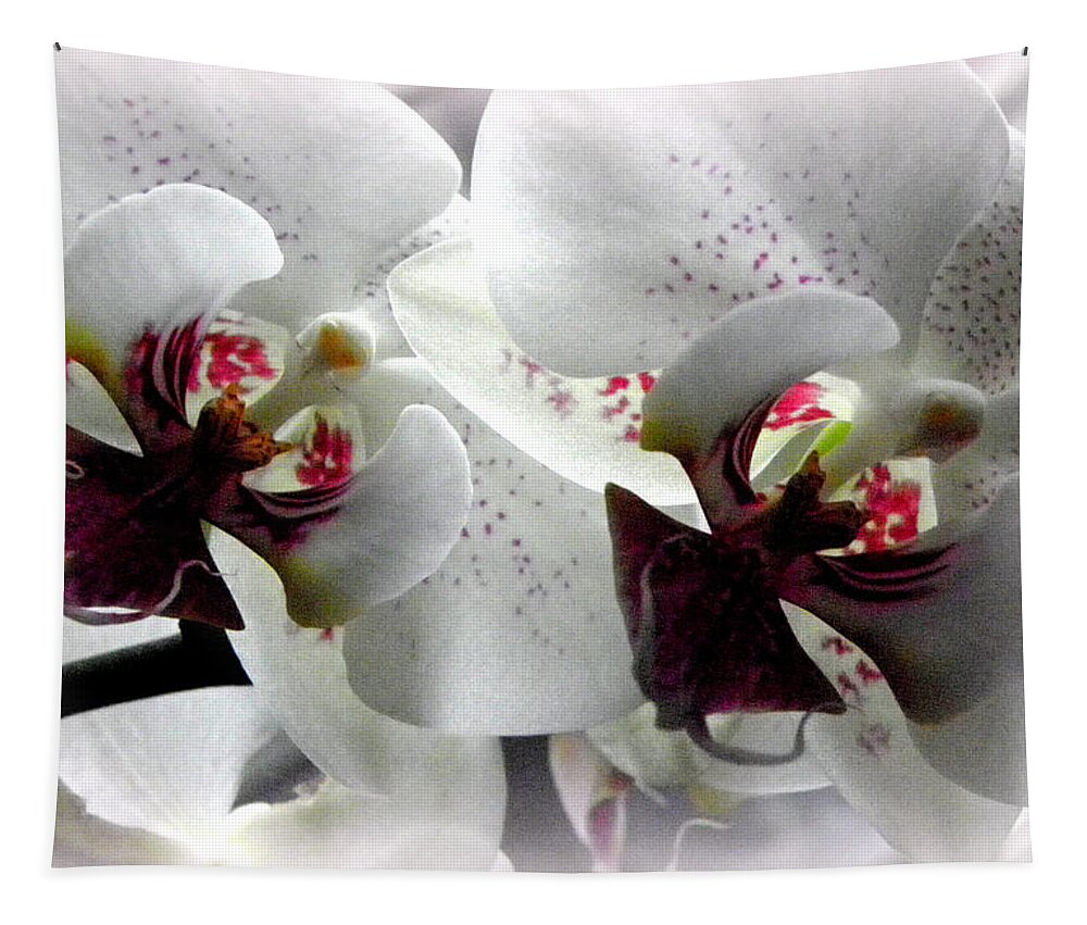 White Orchid Tapestry featuring the photograph Glowing White Orchids by Kim Galluzzo