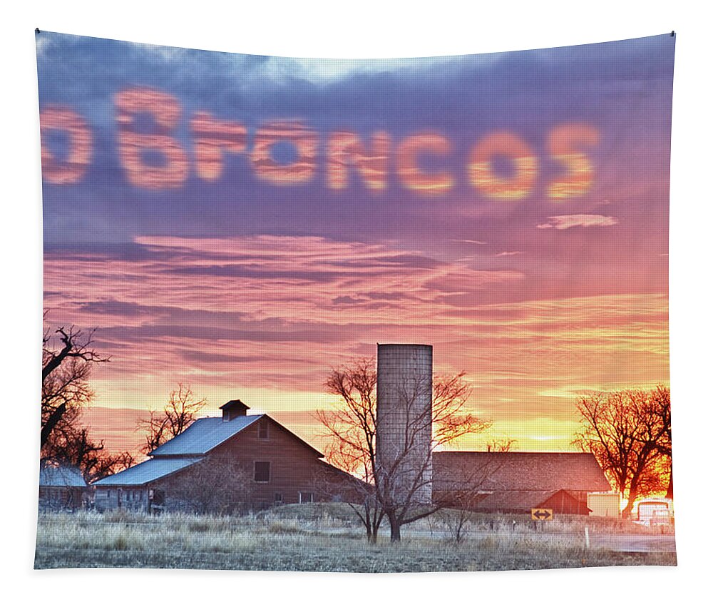 Broncos Tapestry featuring the photograph Go Broncos Colorado Country by James BO Insogna