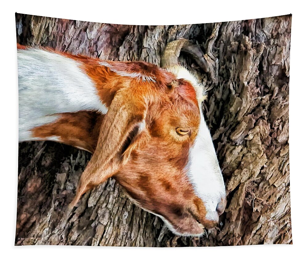Goat Tapestry featuring the photograph Goat 3 by Dawn Eshelman