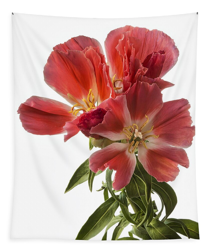 Flower Tapestry featuring the photograph Godacia by Endre Balogh