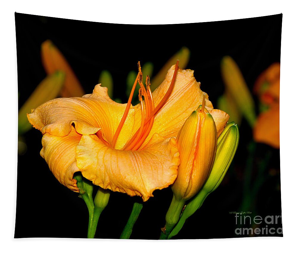 Flower Photography Tapestry featuring the photograph Gold Rush by Patricia Griffin Brett