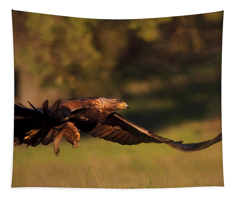 Golden Eagle Tapestry featuring the photograph Golden Eagle on the Hunt by Beth Sargent
