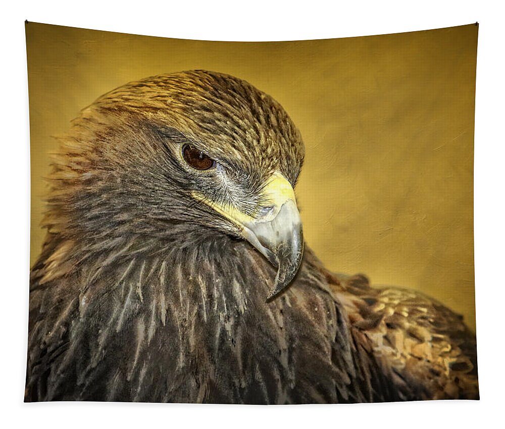 Golden Eagle Tapestry featuring the photograph Golden Eagle Portrait by Eleanor Abramson
