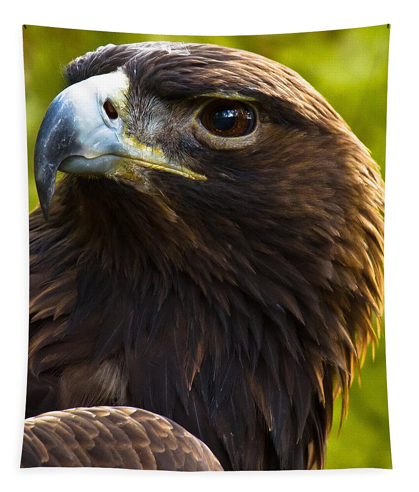 Golden Eagle Tapestry featuring the photograph Golden Eagle by Robert L Jackson