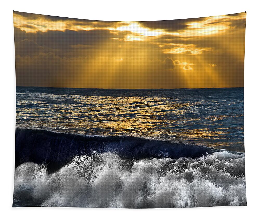 #dee Why Tapestry featuring the photograph Golden eye of the morning by Miroslava Jurcik