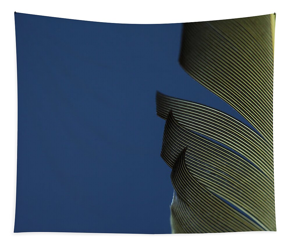 Feather Tapestry featuring the photograph Golden Finch Feather by Karol Livote