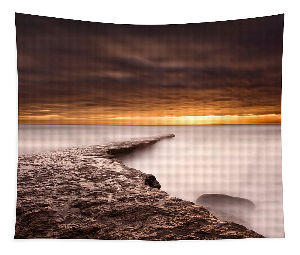 Beach Tapestry featuring the photograph Golden by Jorge Maia