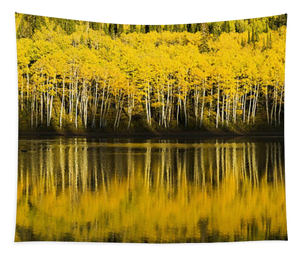 Fall Tapestry featuring the photograph Golden Lake by Chad Dutson