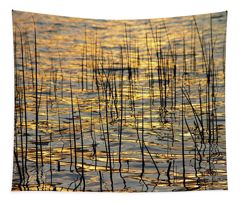 Golden Tapestry featuring the photograph Golden Lake Ripples by James BO Insogna