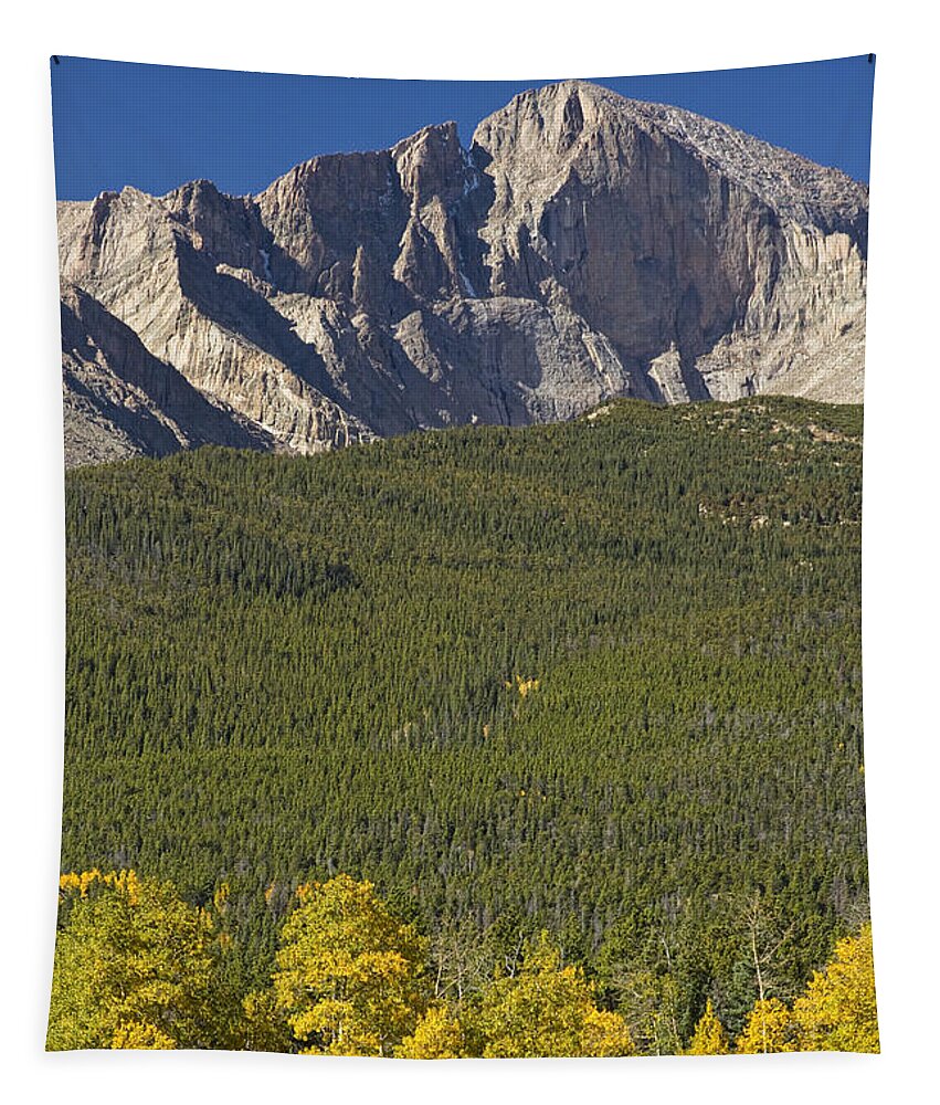 Colorado Tapestry featuring the photograph Golden Longs Peak View by James BO Insogna