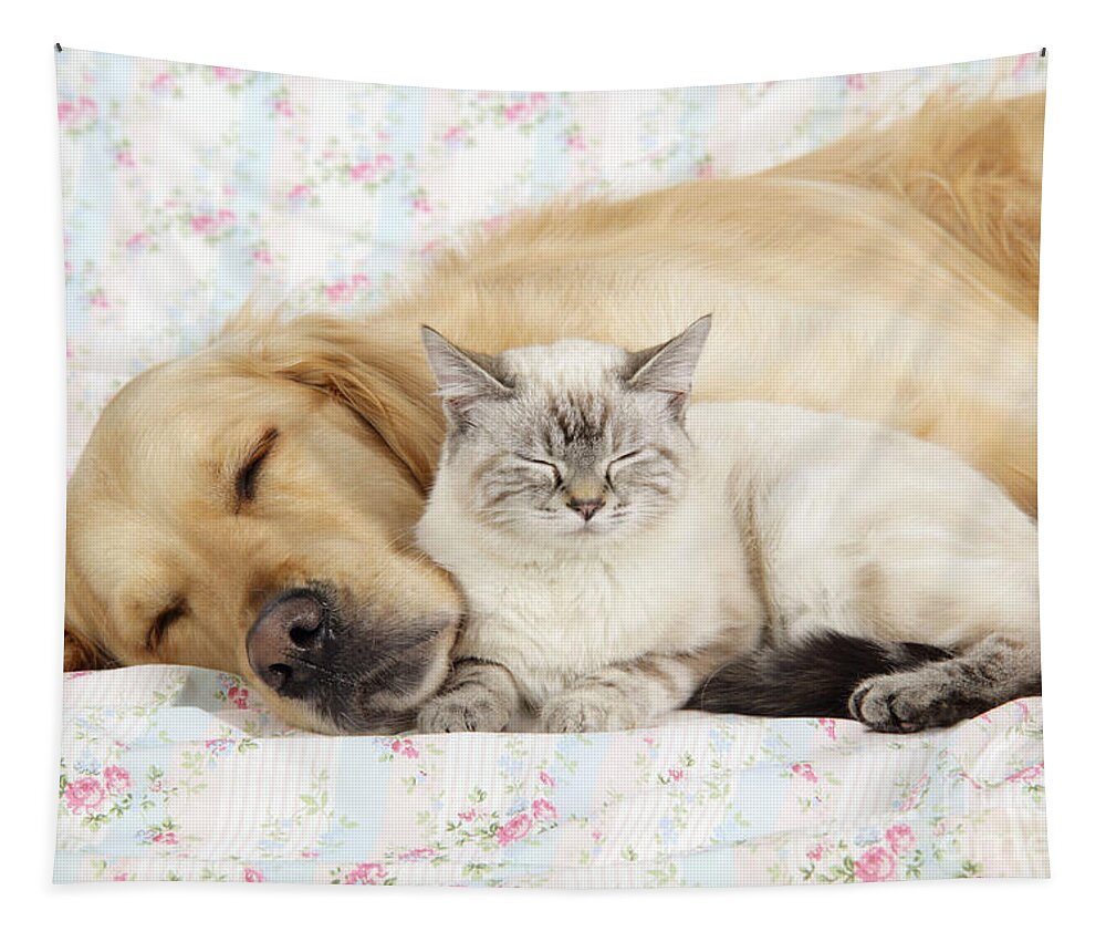 Dog Tapestry featuring the photograph Golden Retriever And Cat by John Daniels