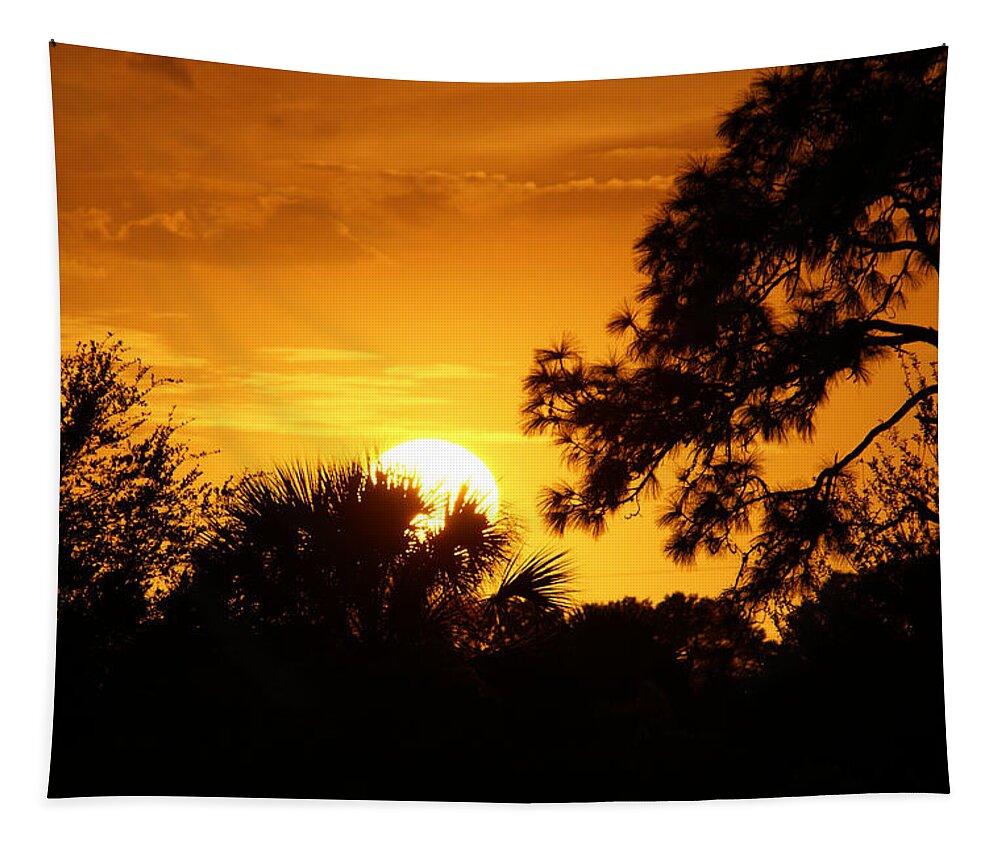 Golden Sun Tapestry featuring the photograph Golden Sunset by Chauncy Holmes