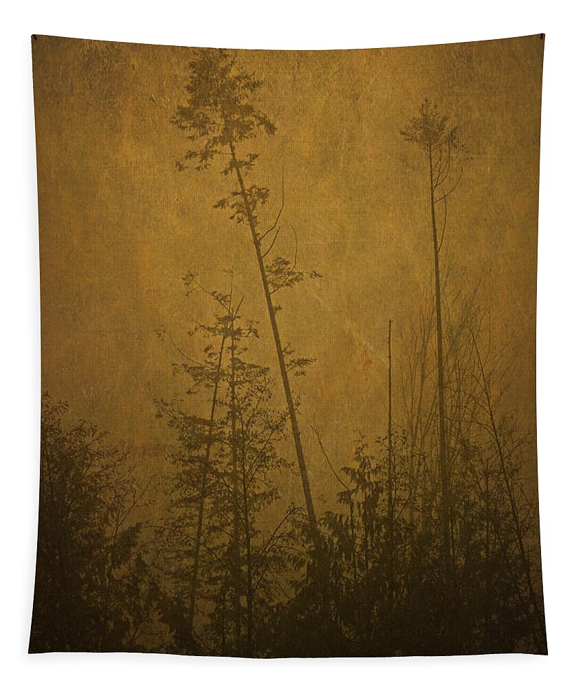 Trees Tapestry featuring the photograph Golden Trees in Winter by Peggy Collins