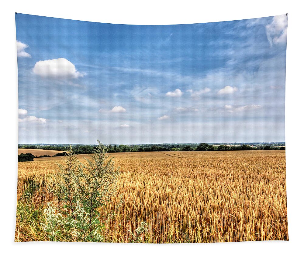 Farm Landscape Tapestry featuring the photograph Golden Wheat Fields by Gill Billington